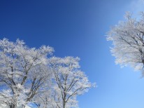 瑞穂ハイランド（島根県邑智郡邑南町）