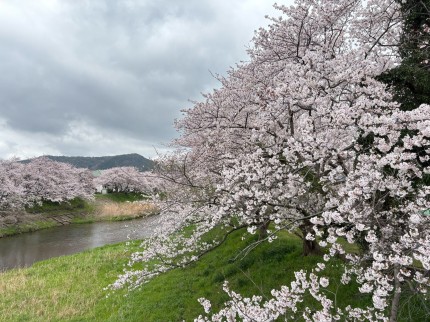 1775544340462-e1775549707776