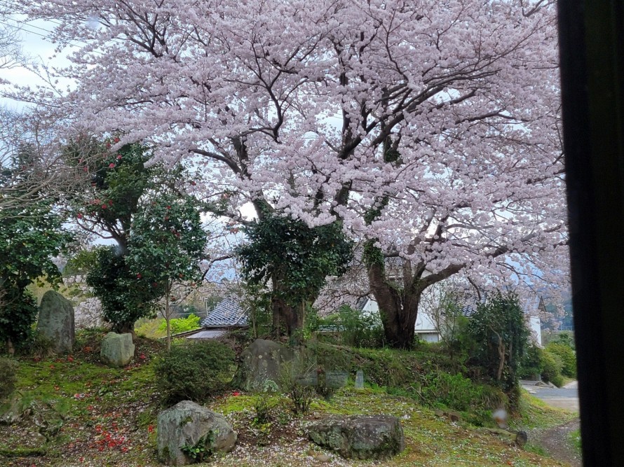 20260404_1345211-e1775547559288