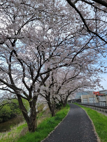 20260405_140605-e1775549775308