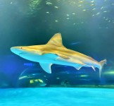 250906094657758~2 2509060946577582