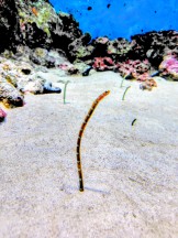 541724818_24203752542658585_8168848355672261995_n 541724818_24203752542658585_8168848355672261995_n