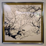 541980724_24205012985865874_8266863724031800832_n 541980724_24205012985865874_8266863724031800832_n