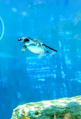 543126406_24203753375991835_756532202966810826_n 543126406_24203753375991835_756532202966810826_n