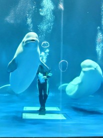 543365778_24203752215991951_6808012553373055009_n (1) 543365778_24203752215991951_6808012553373055009_n-1