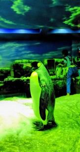 544786409_24203752965991876_7847621290016493664_n 544786409_24203752965991876_7847621290016493664_n