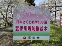 斐伊川堤防桜並木